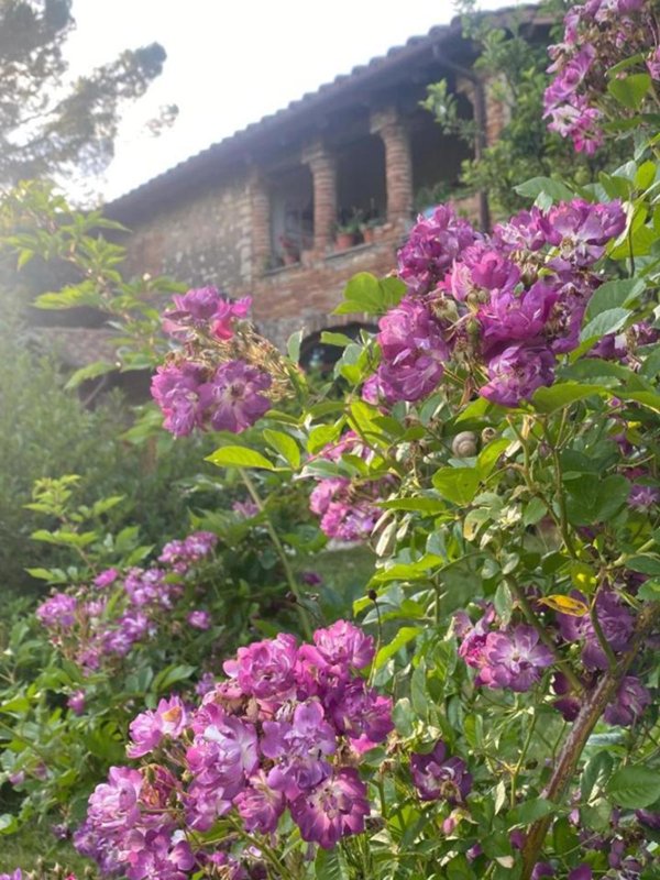 casale in vendita a Narni in zona Taizzano