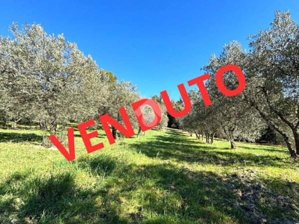 terreno agricolo in vendita a Narni