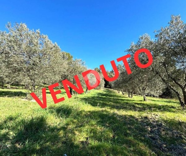 terreno agricolo in vendita a Narni in zona Sant'Urbano