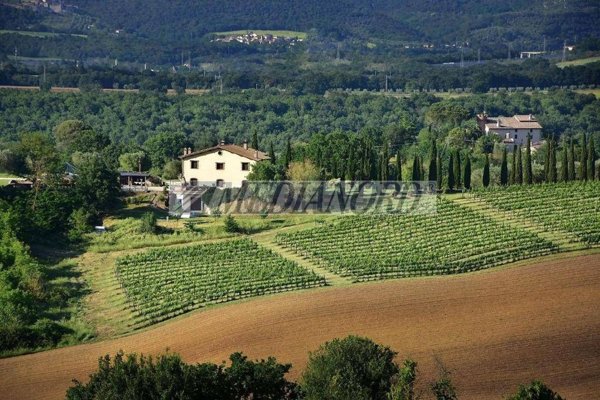 casa indipendente in vendita a Narni