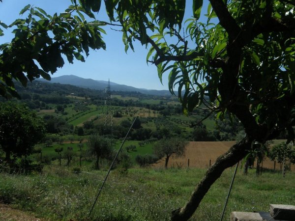 appartamento in vendita a Narni