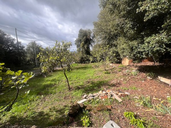 casa indipendente in vendita a Narni