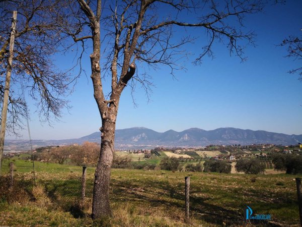 appartamento in vendita a Narni