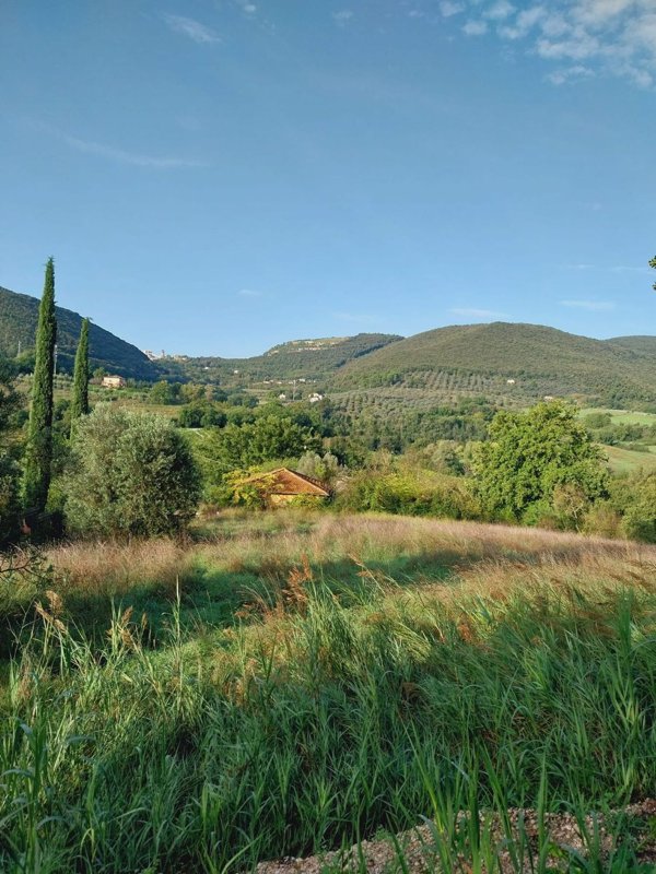 appartamento in vendita a Narni