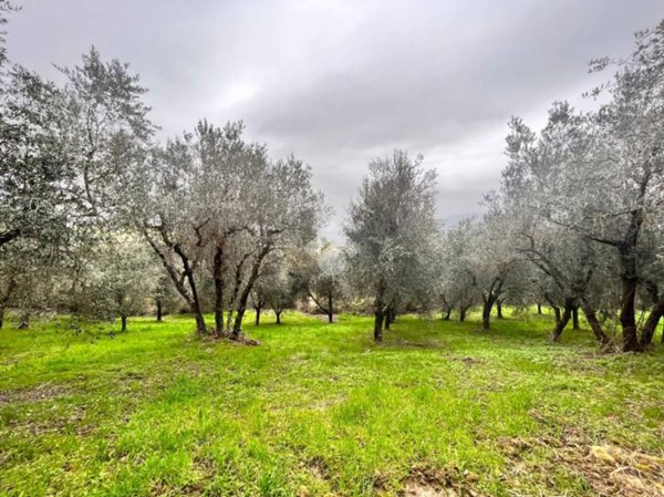 appartamento in vendita a Narni