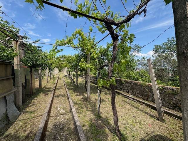 appartamento in vendita a Narni