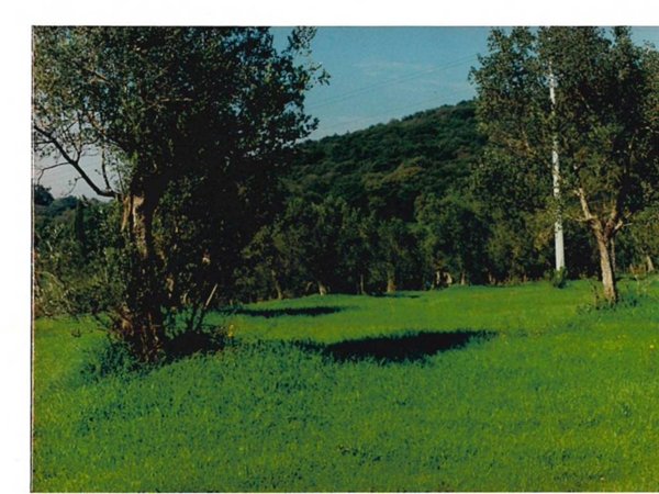 locale di sgombero in vendita a Narni in zona Nera Montoro