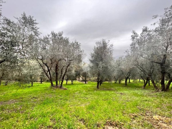 casa indipendente in vendita a Narni
