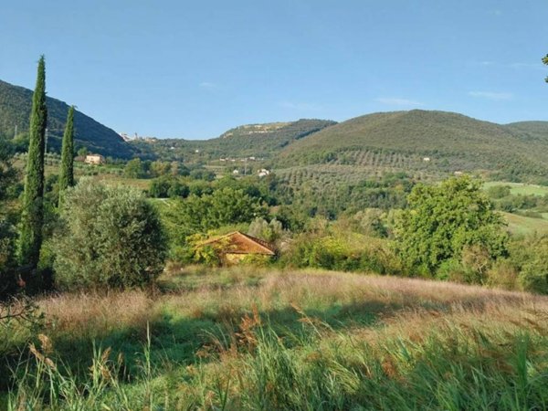 terreno agricolo in vendita a Narni