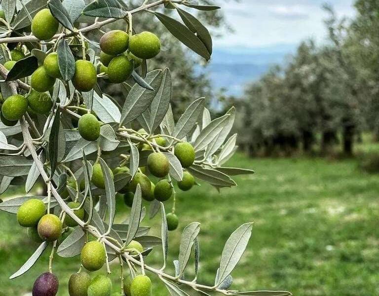 locale di sgombero in vendita a Narni