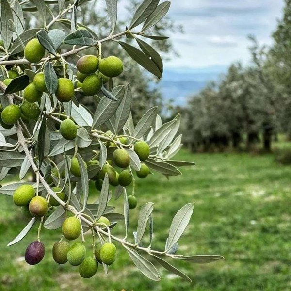 locale di sgombero in vendita a Narni