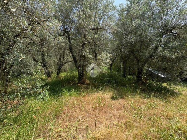 terreno agricolo in vendita a Narni in zona Narni Scalo
