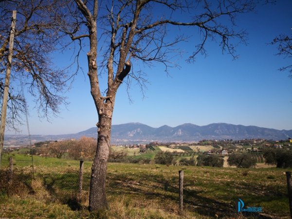 appartamento in vendita a Narni