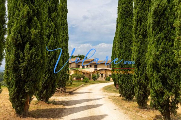 negozio in vendita a Narni