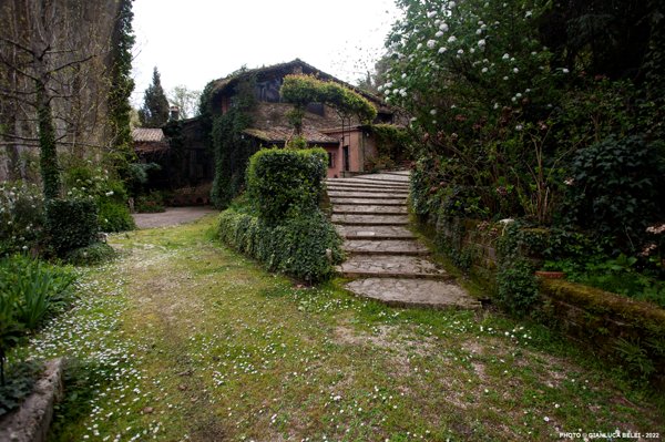 immagine annuncio 0 di 6