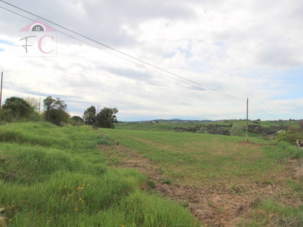 terreno agricolo in vendita a Narni