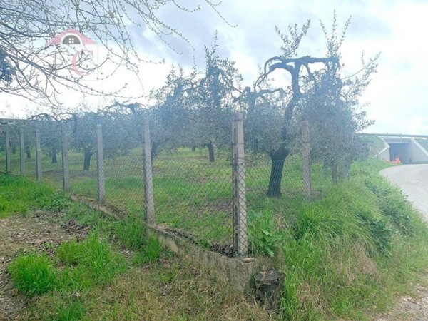 terreno agricolo in vendita a Narni