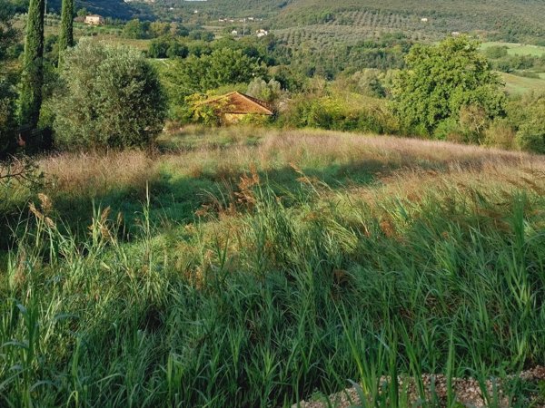 casale in vendita a Narni