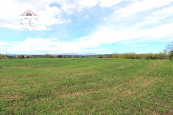 terreno agricolo in vendita a Narni