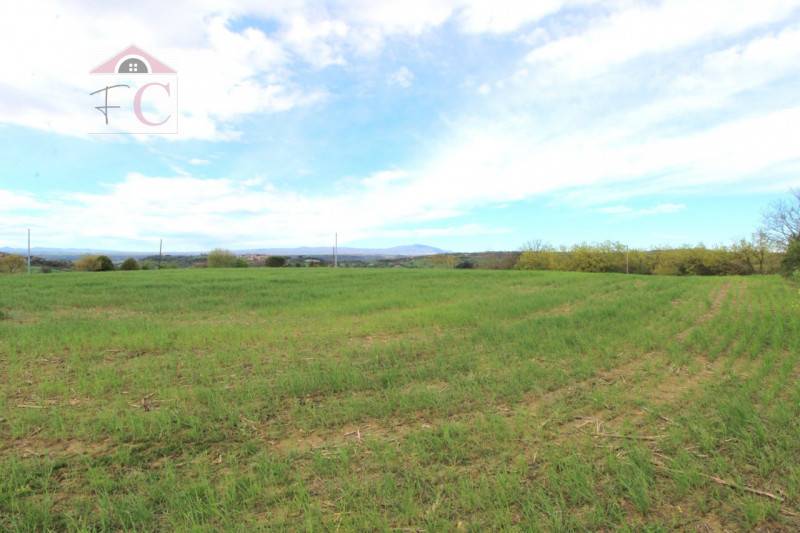 terreno agricolo in vendita a Narni