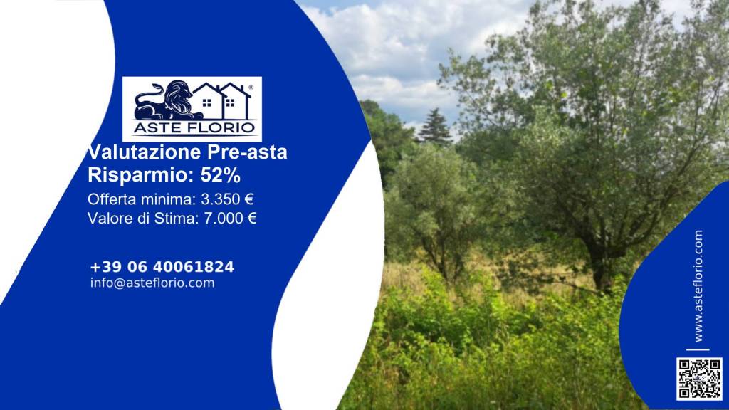 terreno agricolo in vendita a Narni in zona Borgaria