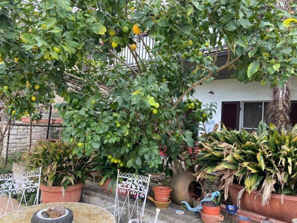 appartamento in vendita a Narni