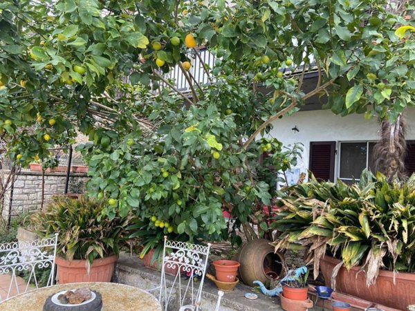 appartamento in vendita a Narni