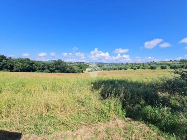 terreno agricolo in vendita a Narni in zona Nera Montoro