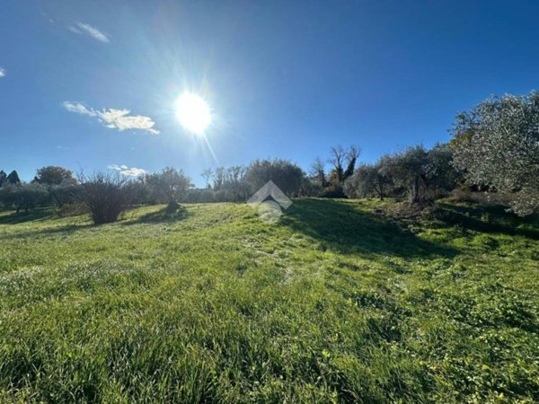 terreno agricolo in vendita a Narni