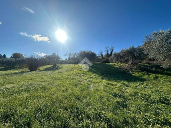 terreno agricolo in vendita a Narni