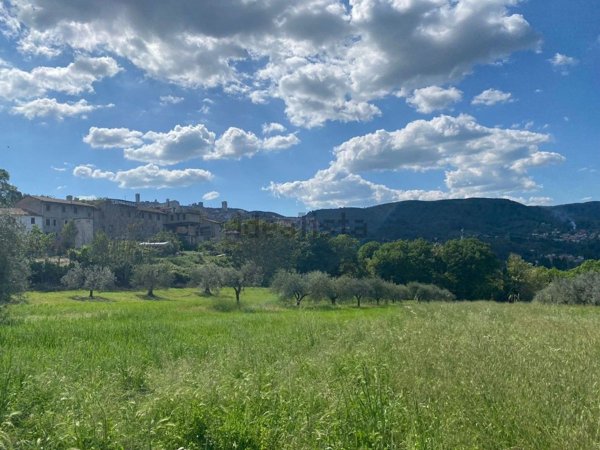 terreno agricolo in vendita a Narni