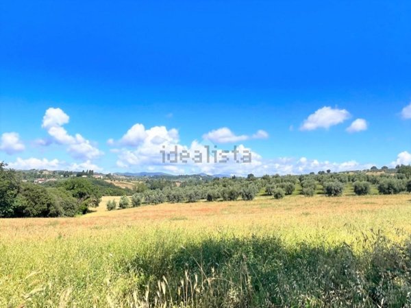 terreno agricolo in vendita a Narni