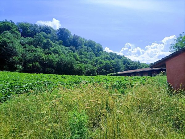 casa indipendente in vendita a Narni