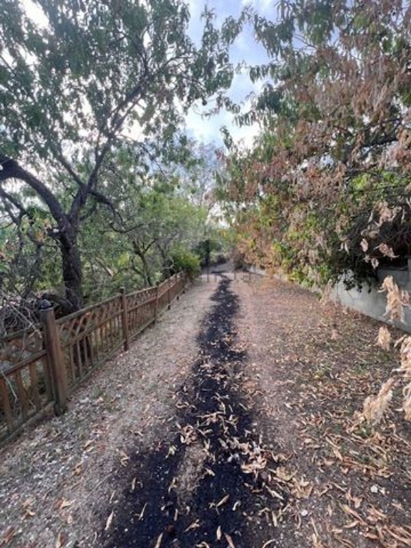 azienda agricola in vendita a Narni