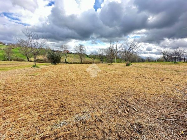 terreno agricolo in vendita a Narni in zona Narni Scalo