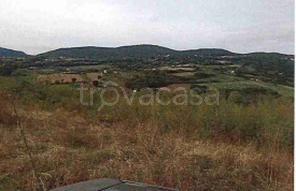terreno agricolo in vendita a Narni