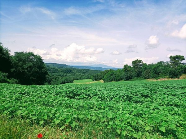 terreno agricolo in vendita a Narni