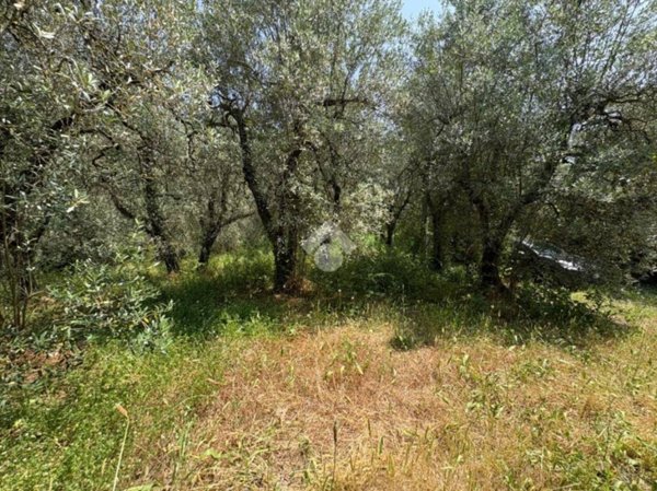 terreno agricolo in vendita a Narni in zona Narni Scalo