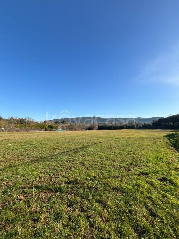 terreno agricolo in vendita a Narni