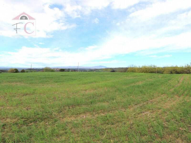 terreno agricolo in vendita a Narni