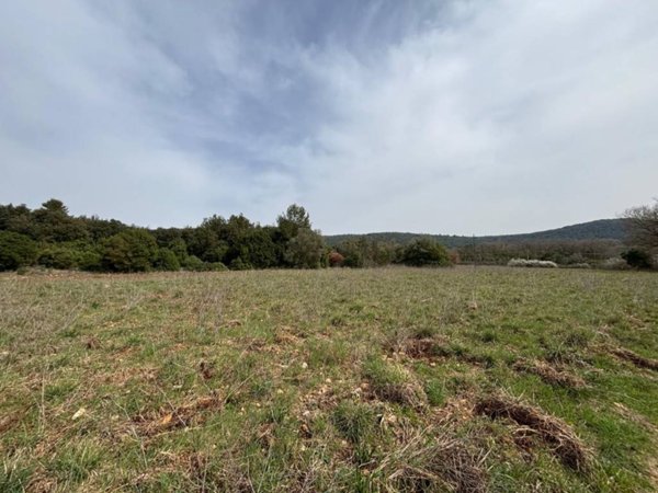 terreno agricolo in vendita a Narni