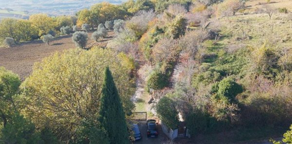 negozio in vendita a Narni