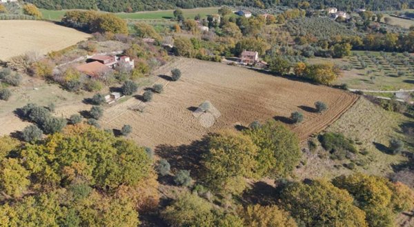 negozio in vendita a Narni