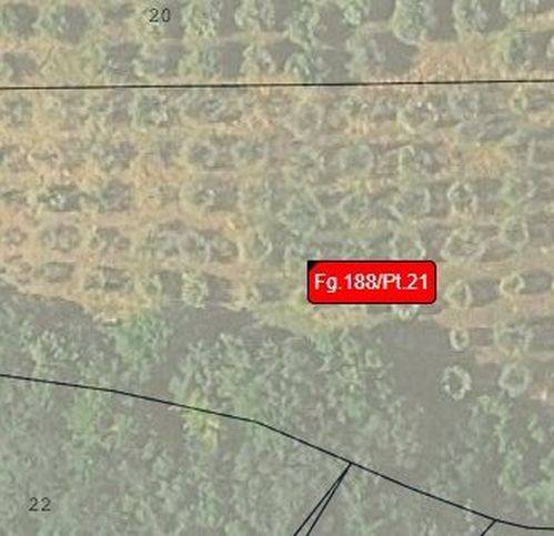 terreno agricolo in vendita a Narni in zona Guadamello