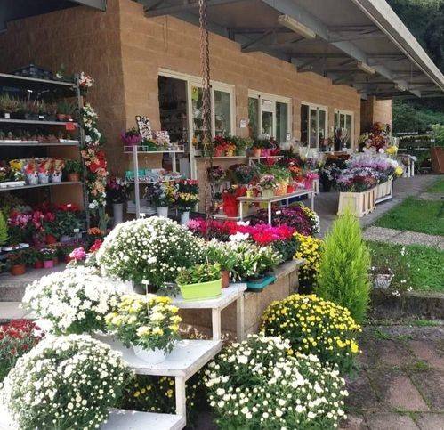 negozio in vendita a Narni in zona Narni Scalo