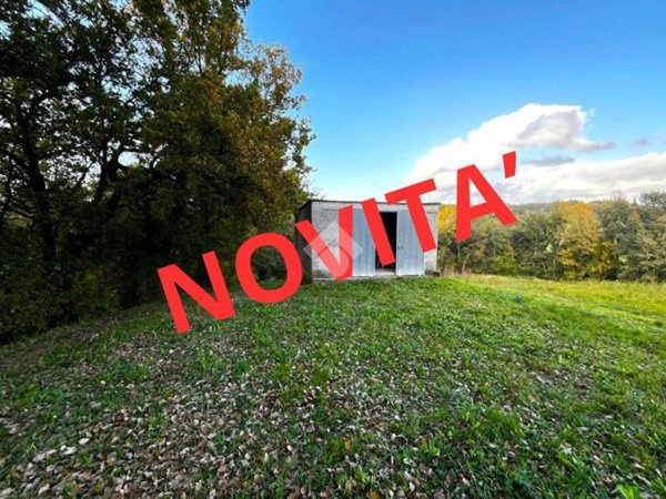 terreno agricolo in vendita a Narni