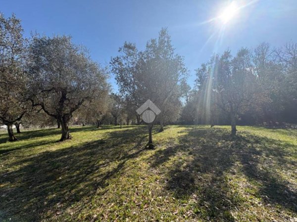 terreno agricolo in vendita a Narni