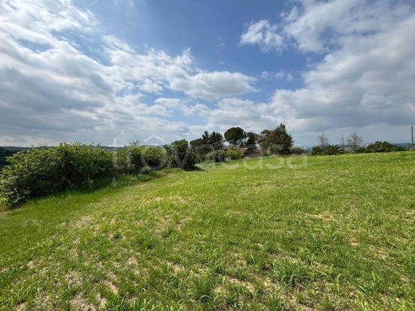 terreno agricolo in vendita a Narni