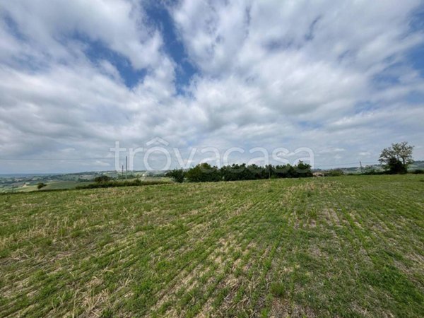 terreno agricolo in vendita a Narni