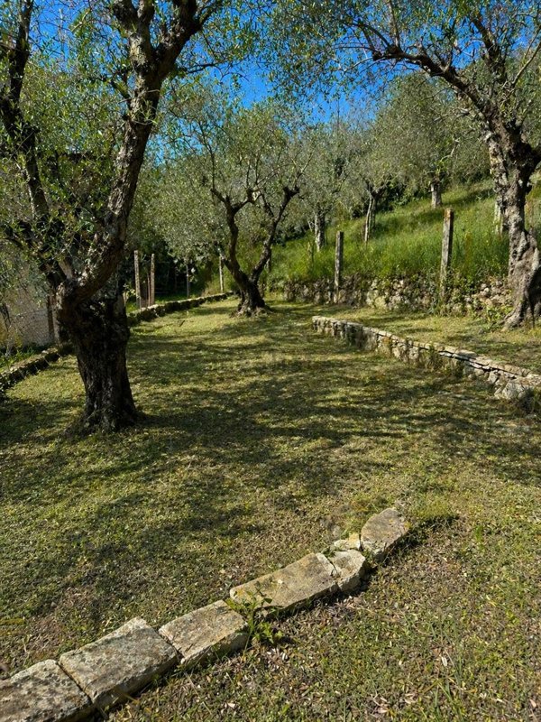 appartamento in vendita a Narni